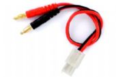 CHARGE LEADS